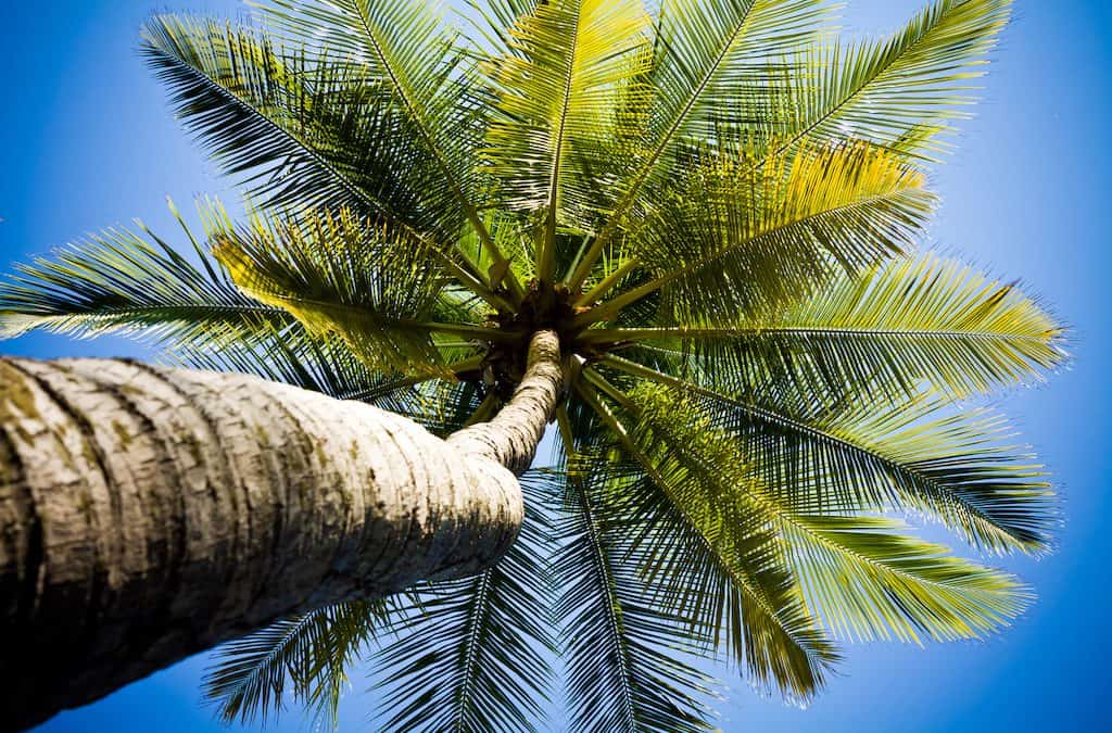 Boutique Beach Hotel in Playa Grande Costa Rica