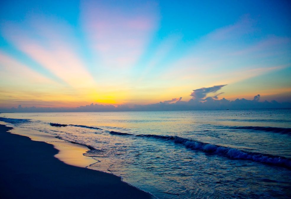 A Few Reasons Why Playa Grande, Costa Rica Should Be Your Next Vacation Destination