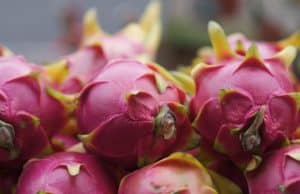 pitahaya-costa-rica-fruit