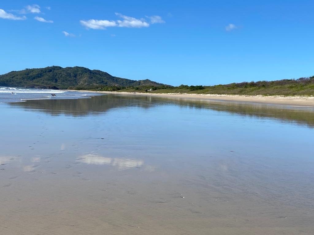 Playa Grande Costa Rica