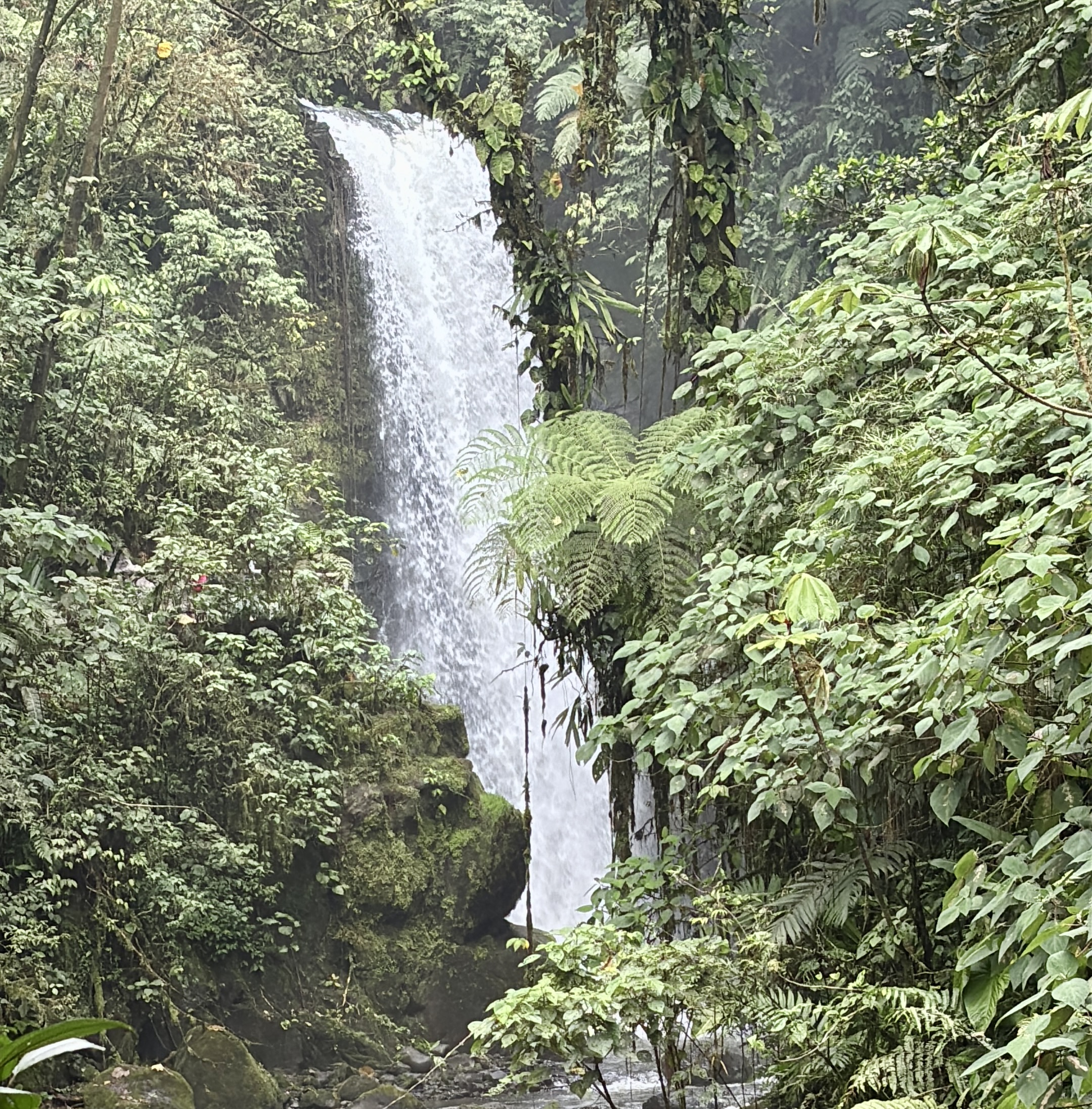 negative ions, ocean, waterfall, costa rica, wellness